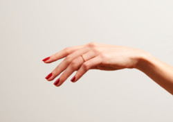 Motiv_03_Classic_Rot_2634