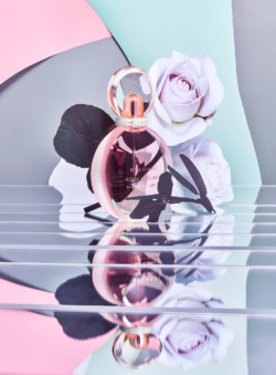 191214_KaDeWe_fragrances213992_eb_rd